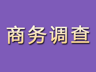 信宜商务调查